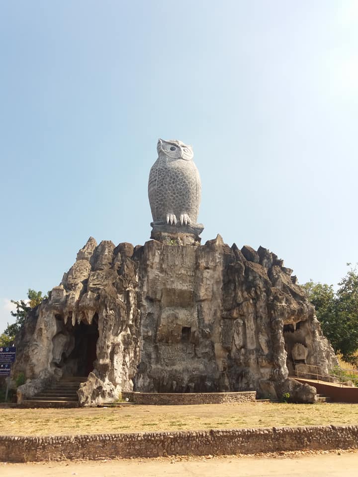 Chum Phae Park Owl