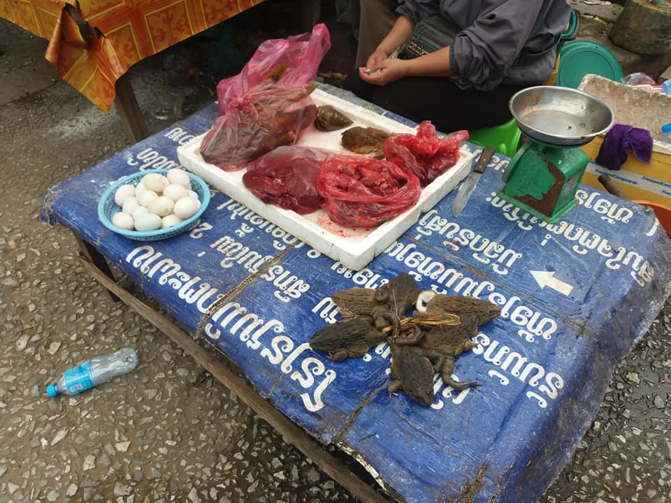 Live frogs for sale. Tied together by their tails.