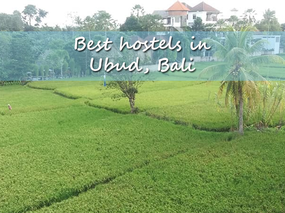 Best Hostels In Ubud, Bali - Budget Travel In Indonesia